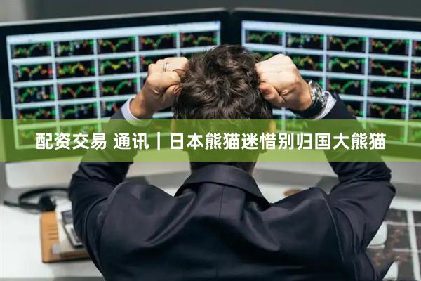 配资交易 通讯｜日本熊猫迷惜别归国大熊猫