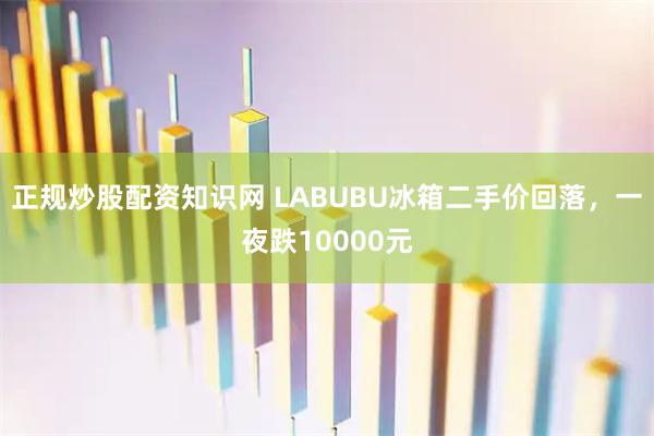 正规炒股配资知识网 LABUBU冰箱二手价回落，一夜跌10000元