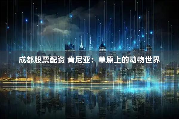 成都股票配资 肯尼亚：草原上的动物世界
