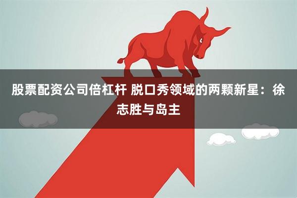 股票配资公司倍杠杆 脱口秀领域的两颗新星：徐志胜与岛主